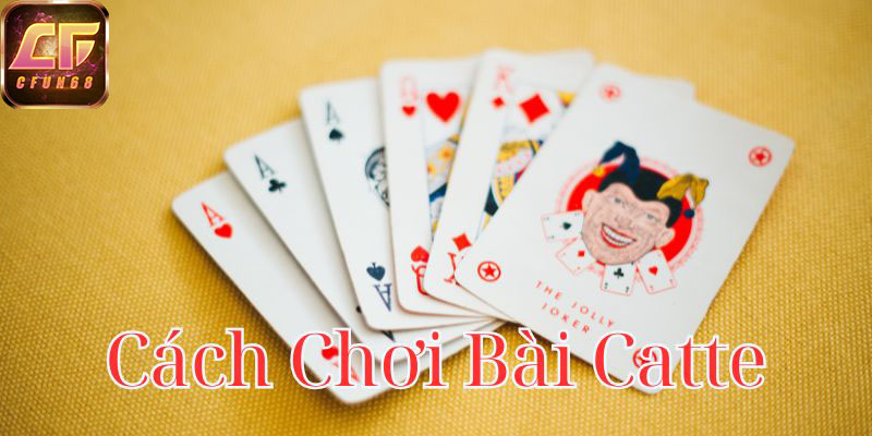 cach-choi-bai-catte-800x400-1