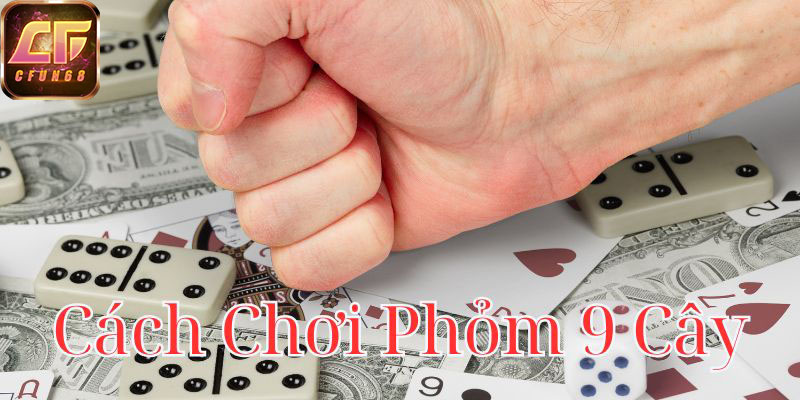 cach-choi-phom-9-cay-800x400-1