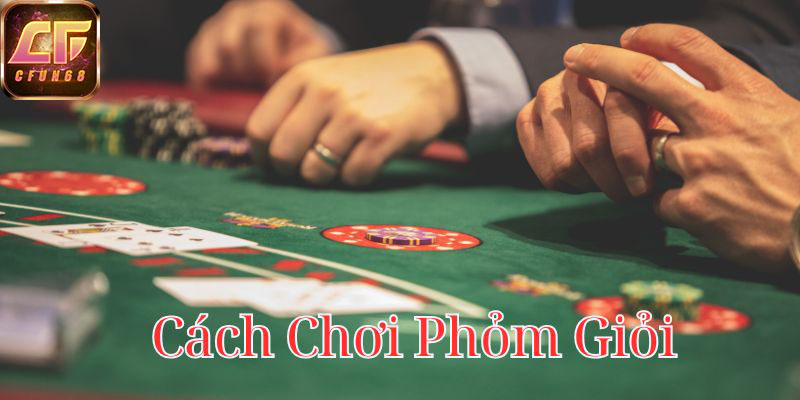 cach-choi-phom-gioi-800x400-1