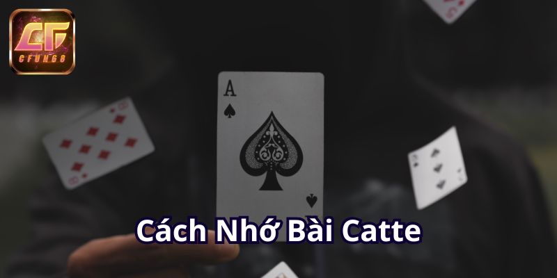 cach-nho-bai-catte-800x400