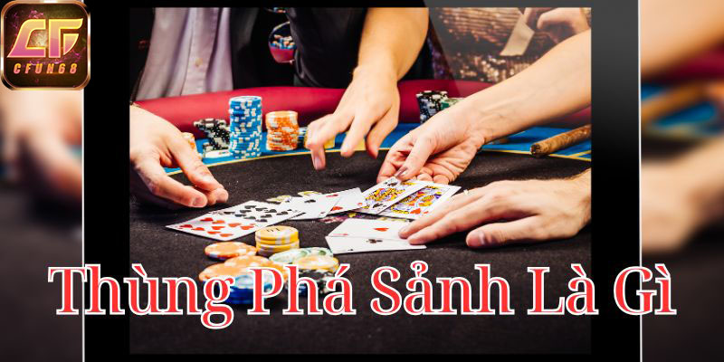 thung-pha-sanh-la-gi-800x400-1